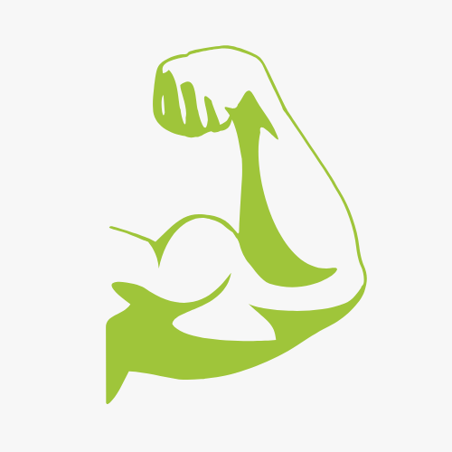 Masse Musculaire
